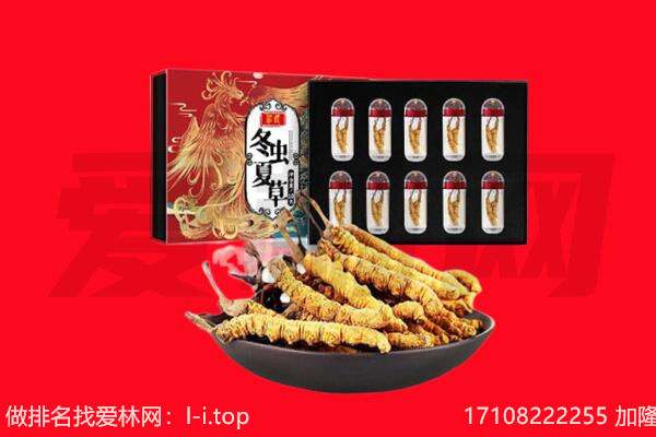武平县回收虫草.jpg